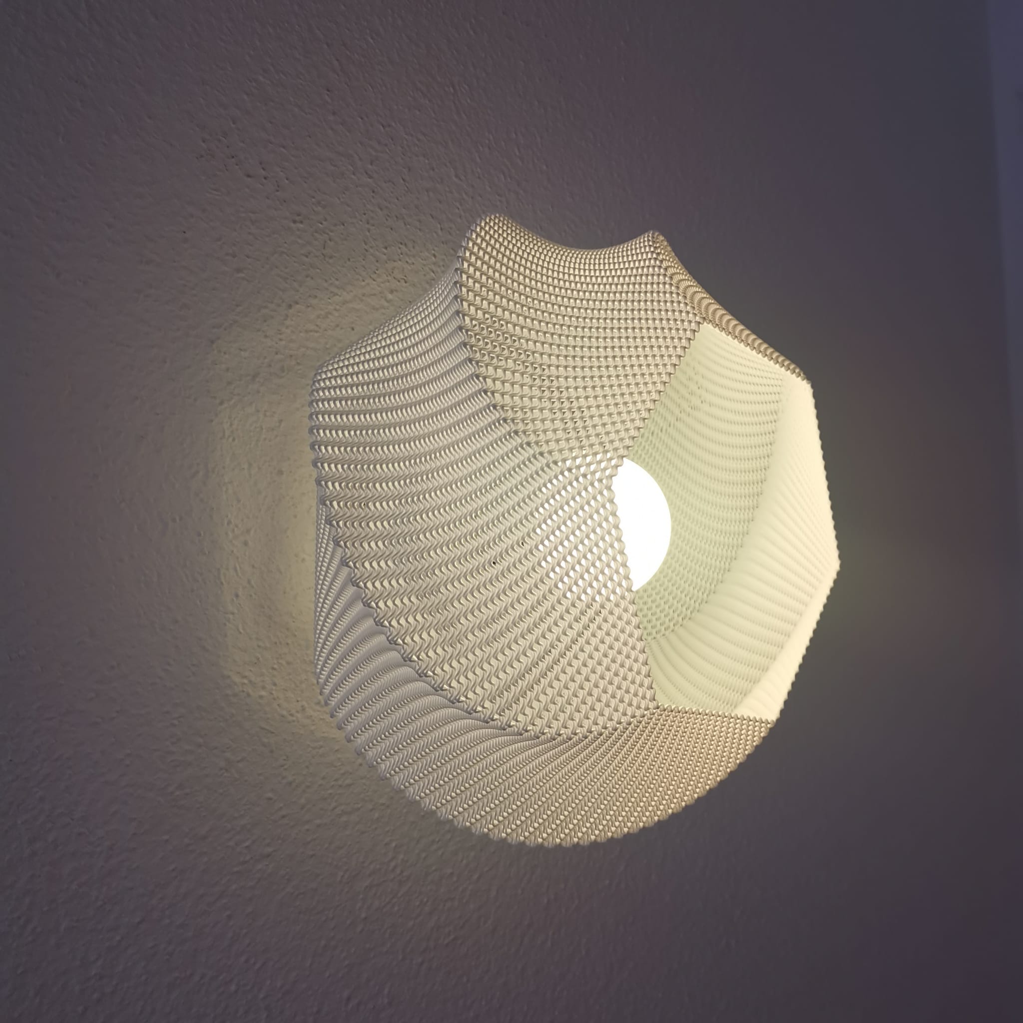 Lotus Halo